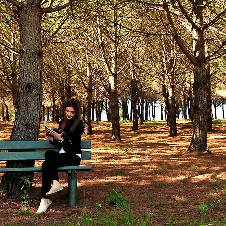 Popilia Country Resort Pizzo  Bagian luar foto